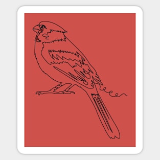 Continuous Line Cardinal Sticker